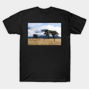 clouds and trees T-Shirt